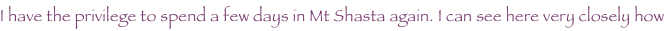 shapeimage_7_link_4