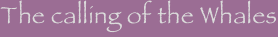 shapeimage_3_link_0