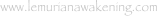 shapeimage_4_link_3