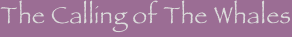 shapeimage_3_link_0