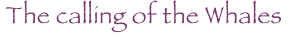 shapeimage_6_link_0