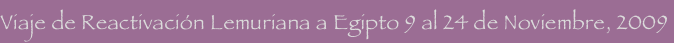 shapeimage_3_link_2