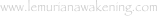 shapeimage_4_link_6