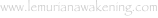 shapeimage_6_link_12
