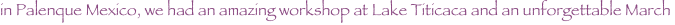 shapeimage_6_link_10